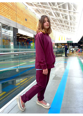 Женские штаны-джоггеры бордо 2 Льва (361111755)