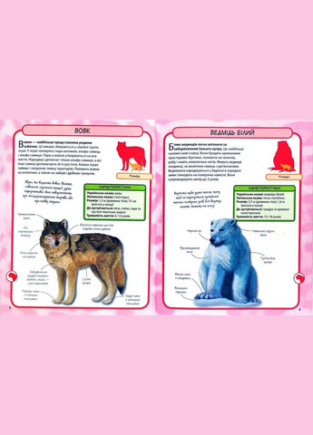 Книга Дикие животные. 50 самых известных видов: мини-энциклопедия ( ) КМ-Букс (338867024)