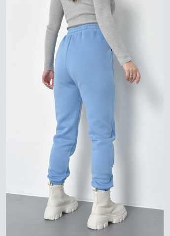 Спортивные штаны женские на флисе голубого цвета Let's Shop (285779385)