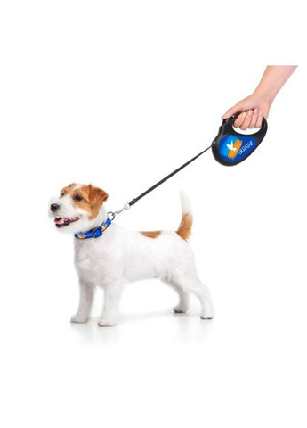 Повідок для собак R-leash "Прапор" M до 25 кг 5 м чорний (8125-0229-01) WAUDOG R-leash &quot;Прапор&quot; M до 25 кг 5 м чорний (366519984)