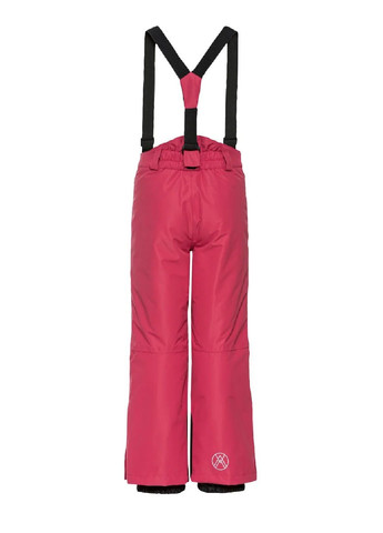 Лыжные брюки Crivit (372444359)