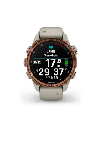 Смарт-часы Garmin (359479382)