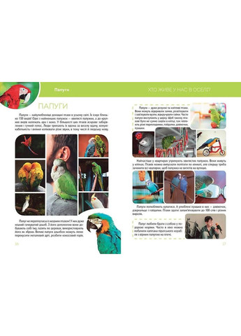 Большая книга о животных Талант (370075074)