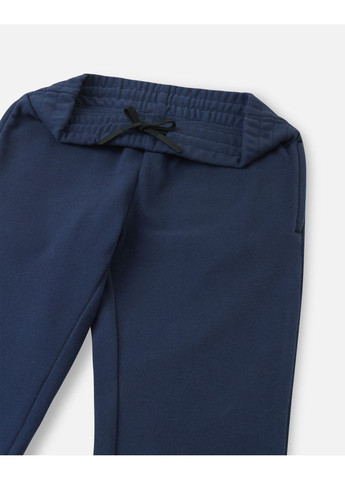 Темно-синие демисезонные брюки Reima