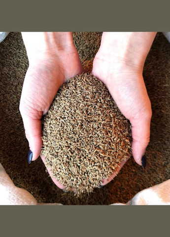 Аніс цілий 200 г No Brand (346476118)