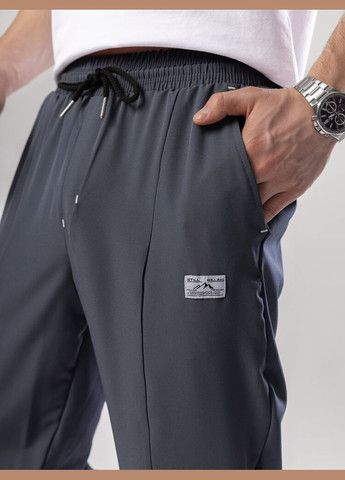 Темно-серые повседневный демисезонные джоггеры брюки Pobedov