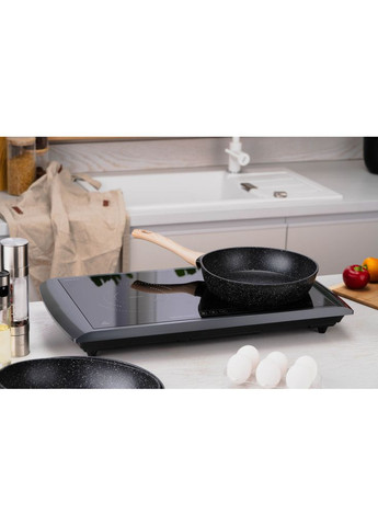 Настільна плита ICS-B217 Ardesto (372619007)