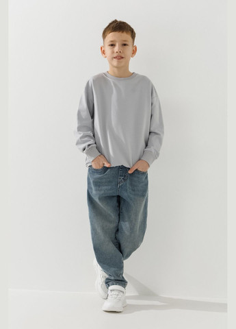 First Kids світшот однотонний унісекс 0069 116 см shop (2000990952516) однотонний світло-сірий повсякденний бавовна