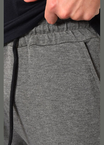 Спортивні штани чоловічі сірого кольору Let's Shop (290255312)