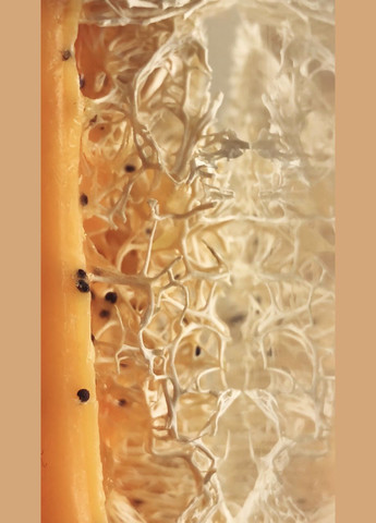 Мило-скраб із люфою натуральне "Шоколад" Top Beauty (362711588)