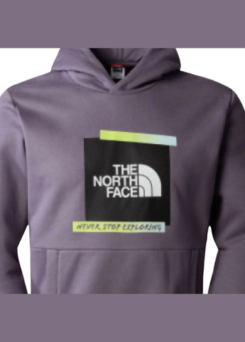 Толстовка The North Face (284162286)
