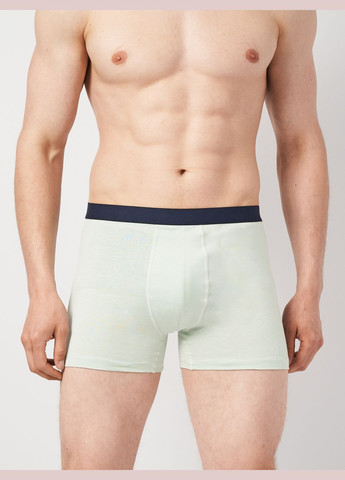 Трусы (3шт) Basic Collection (294973343)