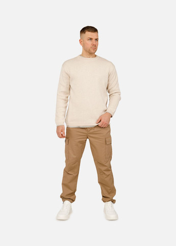 Бежевые демисезонные брюки Dozor