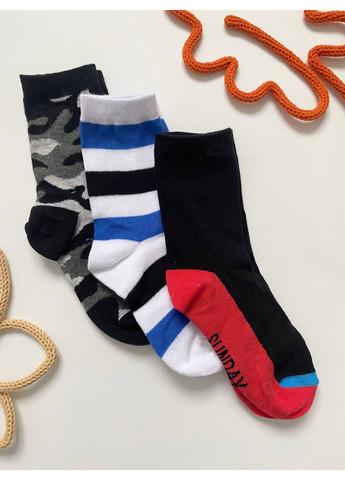 Чёрные носки для мальчика 3шт. Primark (366089321)