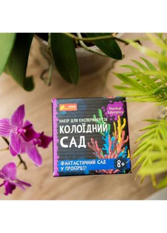 Коллоидный сад No Brand (359375362)