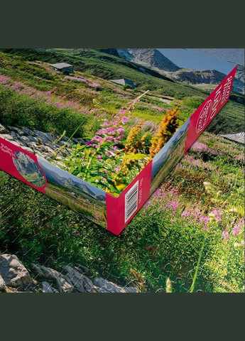 Пазл Долина Гонсеникова в Татрах 1000 элементов CherryPazzi Cherry Pazzi (319152131)