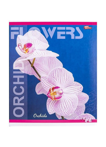 Зошит 36 арк. клітинка "МРІЇ" / Орхідеї Мрії Збуваються (342415643)