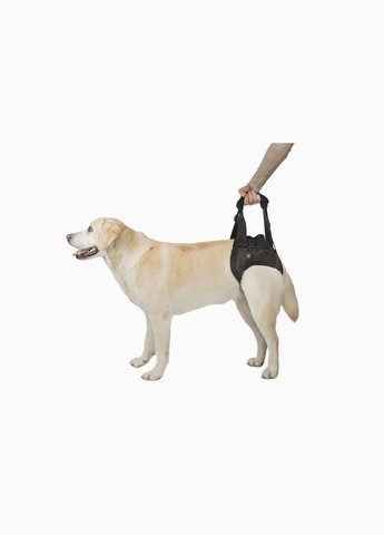 Підтримка для задніх лап "трусами" розмір XS Чорний Frakishtak (304546068)