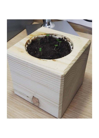 мелисса набор для выращивания растений Экокуб (295658341)