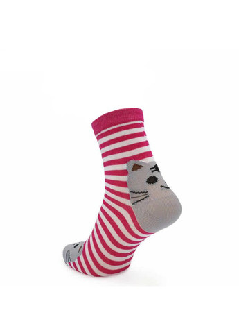 Шкарпетки дитячі Middle Printed бавовняні, білі смужки на малиновому фоні з котиком SK800-008 MAN's SET (366027250)