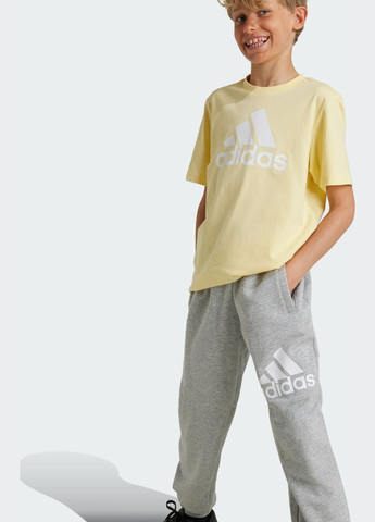 Серые спортивные демисезонные брюки adidas