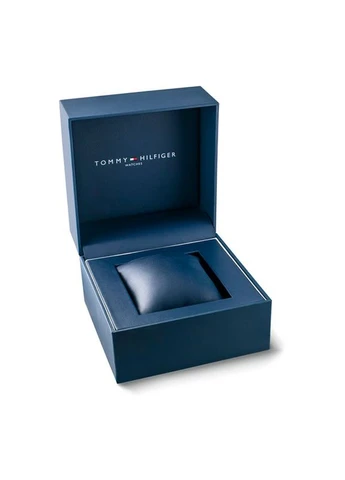Чоловічі наручні годинники Tommy Hilfiger 1710667 (392138677)