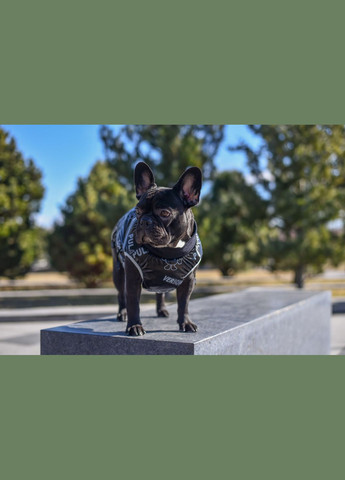 Жилет для собак Pulay, (*) SmartPet (323153137)