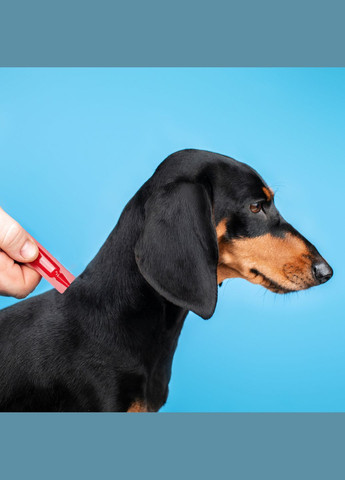 Капли Profiline инсектоакарицид для собак до 4 кг 1 пипетка 0.5 мл (4823082431090) ProVET (279561316)