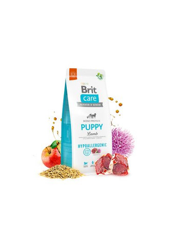 Сухой корм для собак Dog Hypoallergenic Puppy с ягненком 3 кг (8595602558964) Brit Care Dog Hypoallergenic Puppy з ягням 3 кг (370018014)