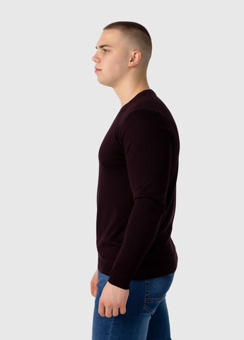 Бордовий джемпер однотонний чоловічий 12210 (2000989985808d) shop (2000989985808) Stendo