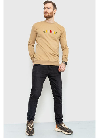 Світшот чоловічий демісезонний, 208R0204 Ager (365728108)