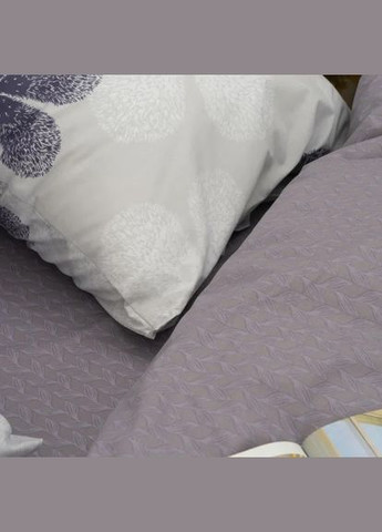 Постельное белье ранфорс — 24269 Viluta (303289865)