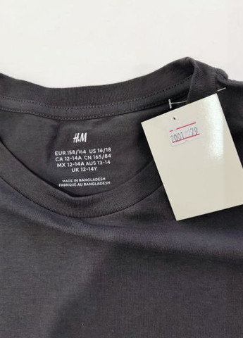Серая демисезонная футболка H&M