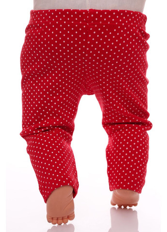 Червоний демісезонний туніка з лосинами для дівчинки трикотажний ромашки червоний 68 см (30726) BABYKROHA