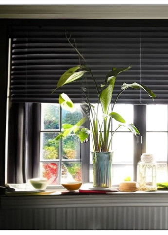 Чорна штора плісе ІКЕА 100х190 см Темно-сірий IKEA (315647089)