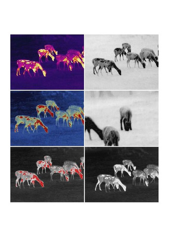 Тепловізор монокуляр TrackIR 50mm 400x300px Guide (333662509)