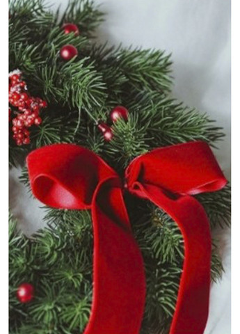 Набір декоративних оксамитових бантів колір червоний ЦБ-00286809 No Brand (365588712)