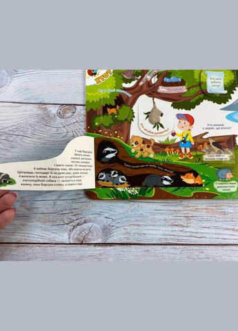 Книжка з віконцями. Чомусики Пегас (316082092)