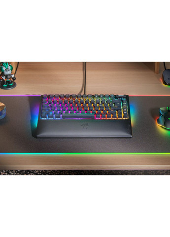 Клавиатура RZ03-05000100-R3M1 BlackWidow V4 75% RGB 83key Mechanical Tactile Switch GEN-3, USB-A, EN, Razer (362712650)
