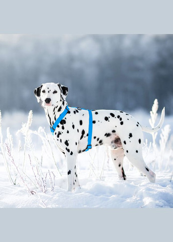 Шлей для собак водостойкий Waterproof c QR-паспортом, XL, Ш 40 мм, А 60-98 см, В 69-110 см, синий WAUDOG (332879792)