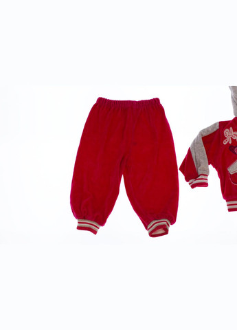 Костюм с длинным рукавом для девочки велюровый розовый 86 см (26632) BABYKROHA (297199616)