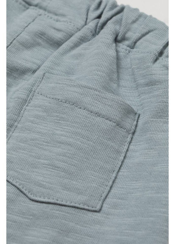 Шорти H&M (369479408)