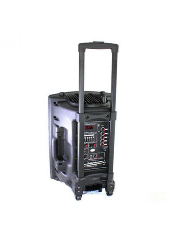 Акумуляторна акустична система Su-Kam BT 120D/212D 2 мікрофони 300 Вт Чорний (1924491394) No Brand (362209631)