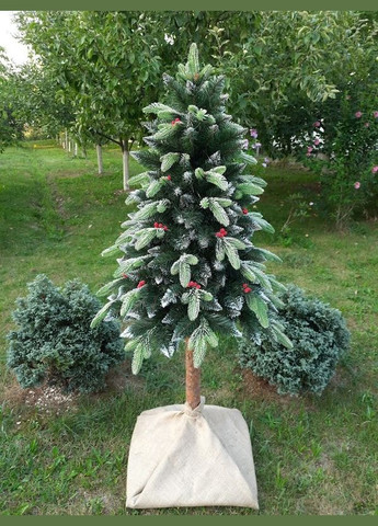 Ялинка на пні Корал 1,80 м No Brand (314874383)