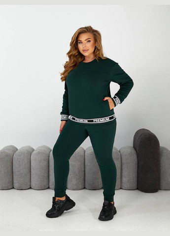 Женский прогулочный костюм двойка цвет шоколад New Trend (304991071)