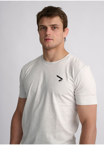 Світло-сіра футболка BIG PRINT IPPON GEAR (363330205)