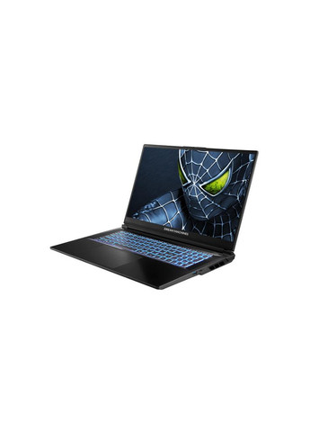 Ноутбук RG5050-17 (RG5050-17UA24) Dream Machines (367837572)