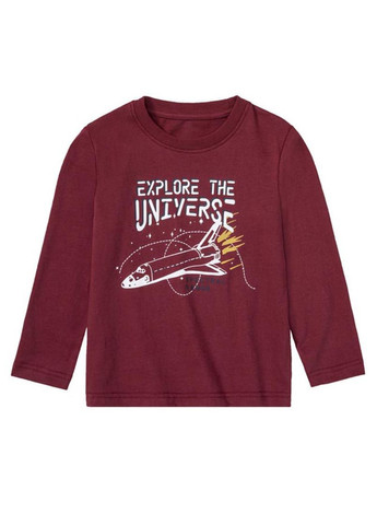 Комбінована зимня піжама реглан + брюки Lupilu