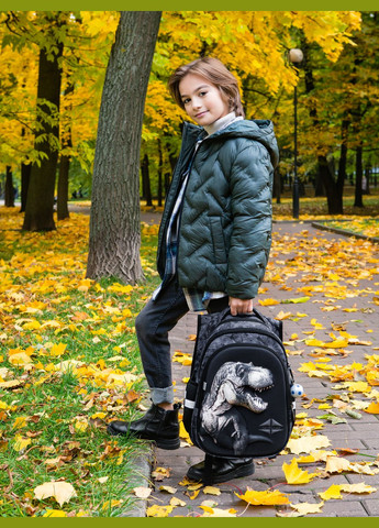 Ортопедический рюкзак в школу для мальчика серый с Динозавром 37х30х16 см для первоклассника (R1-027) Winner (293504231)