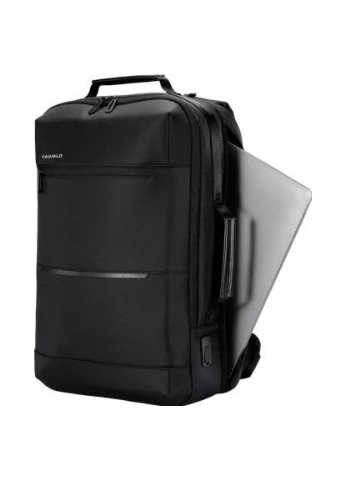 Рюкзак для ноутбука 15.6" Smart TB20-2 black, 20л, 45х29х16,5см (TB20-224BL) Tavialo (390913469)